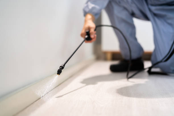 Licensed Pest Control service in Harriman, TN - Show Me Pest Control