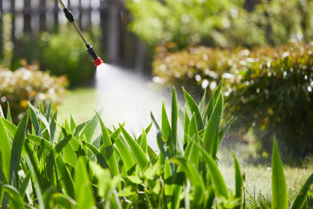 24/7 Emergency Mosquito Control experts in Harriman, TN