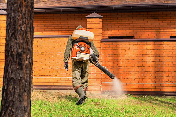 Top rated local Mosquito Control specialists in Harriman, TN